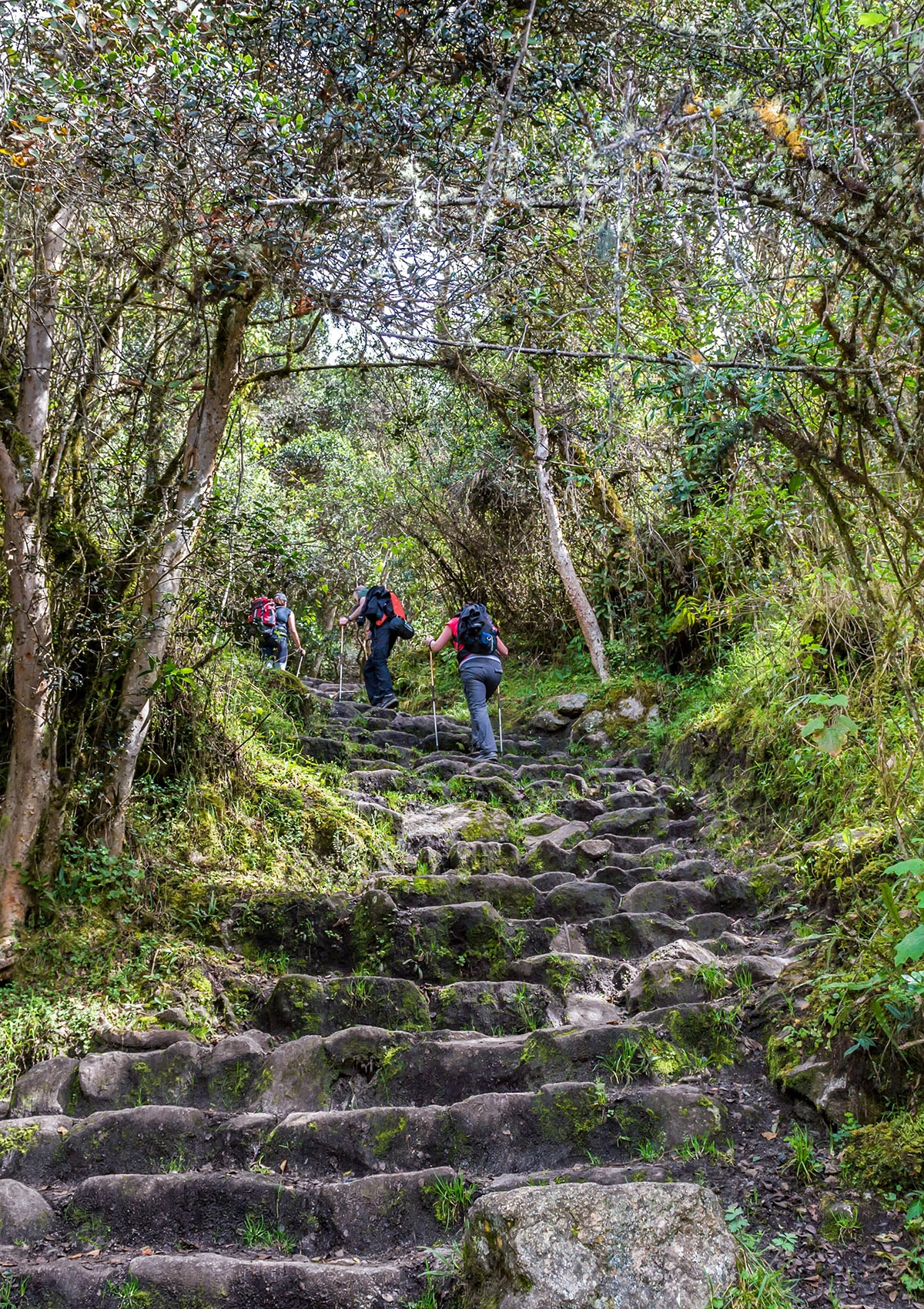 camino inca